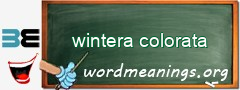 WordMeaning blackboard for wintera colorata